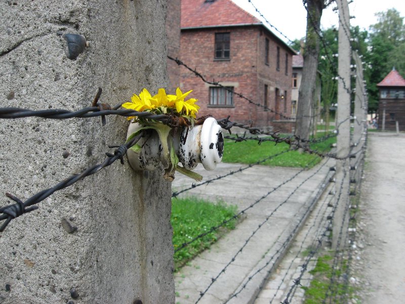 Campo sterminio Auschwitz Oświęcim
