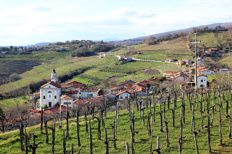 Panorama di Kojsko nel Brda in Slovenia