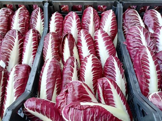 Radicchio Rosso Treviso