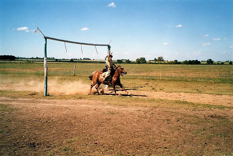 I gauchos argentini