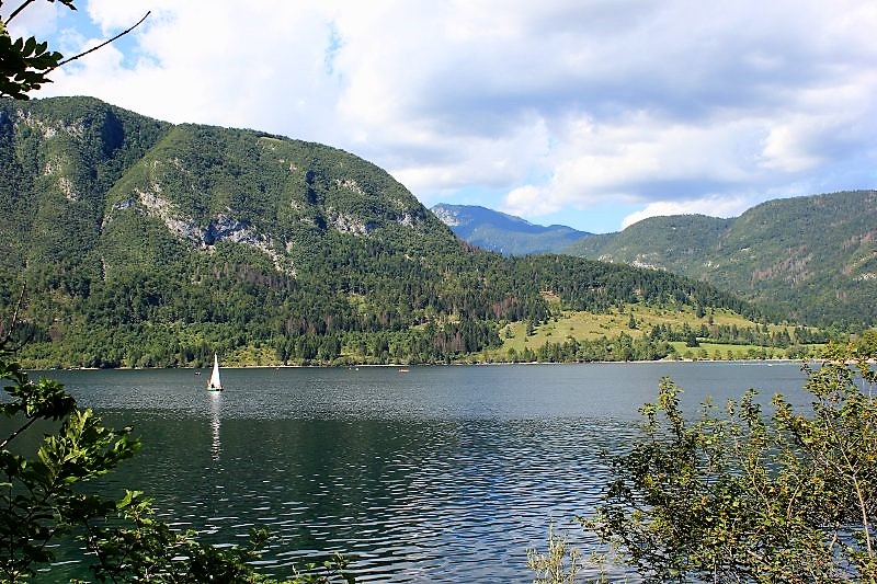 Panorama lago Bohinj