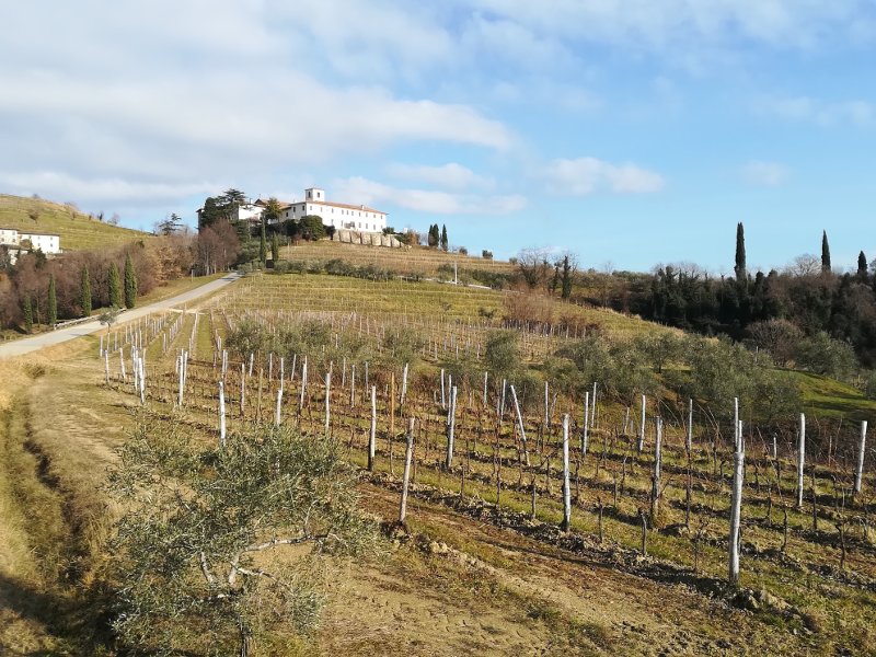 L'Abbazia di Rosazzo