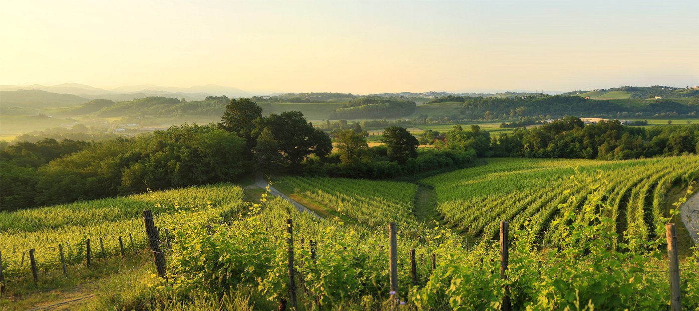 Tramonto sui Colli Orientali del Friuli a Novacuzzo di Prepotto