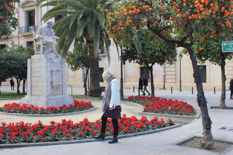 Giardino nel Carrer de Colon a Valencia