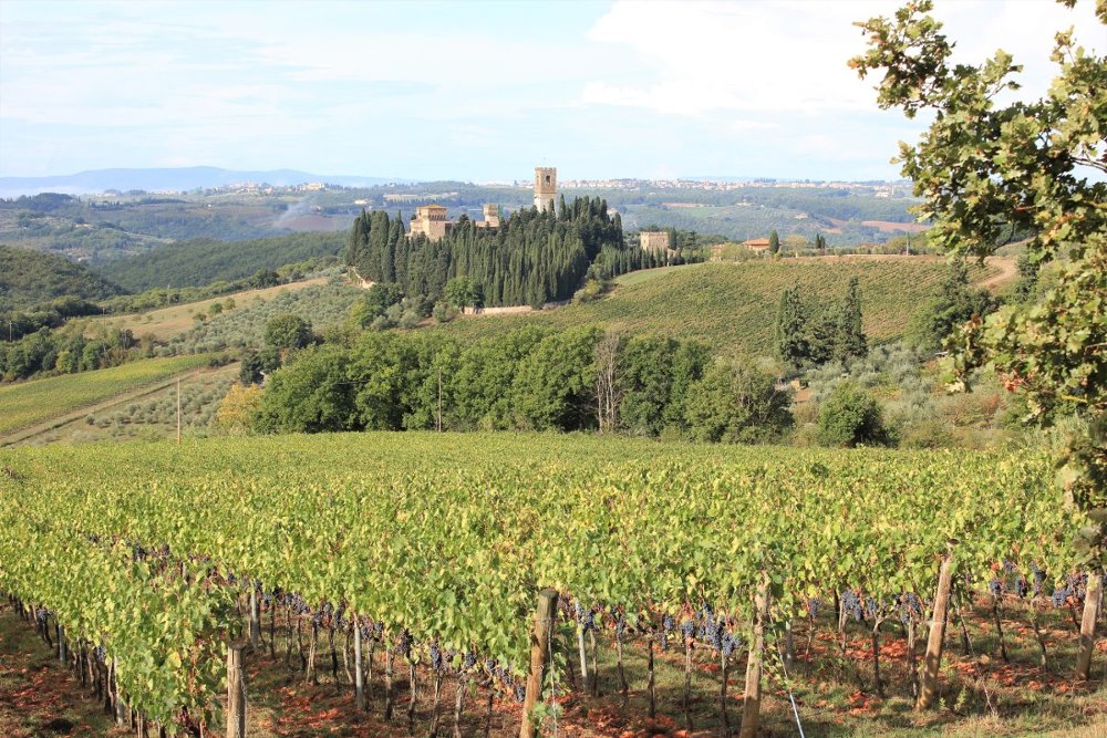 Panorama sulla Badia a Passignano