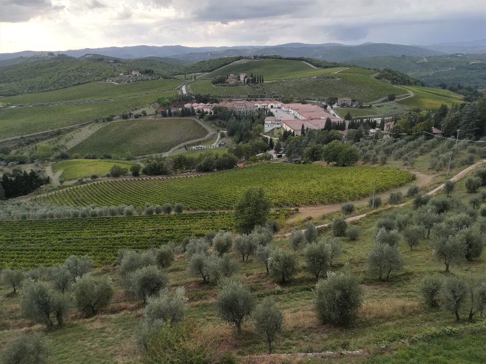 Panorama della tenuta del Barone Ricasoli al Castello di Brolio