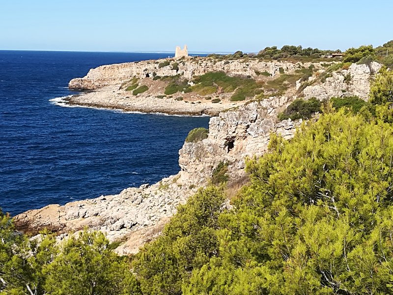 Panorama del Parco Naturale di Porto Selvaggio nel Salento