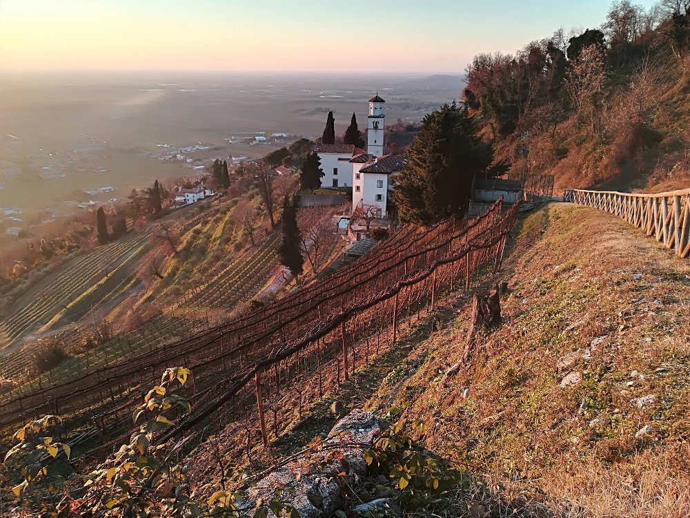 Panorama dal Monte Quarin a Cormons