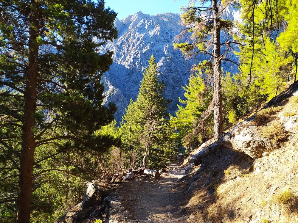 Gole di Samaria a Creta, guida alla visita