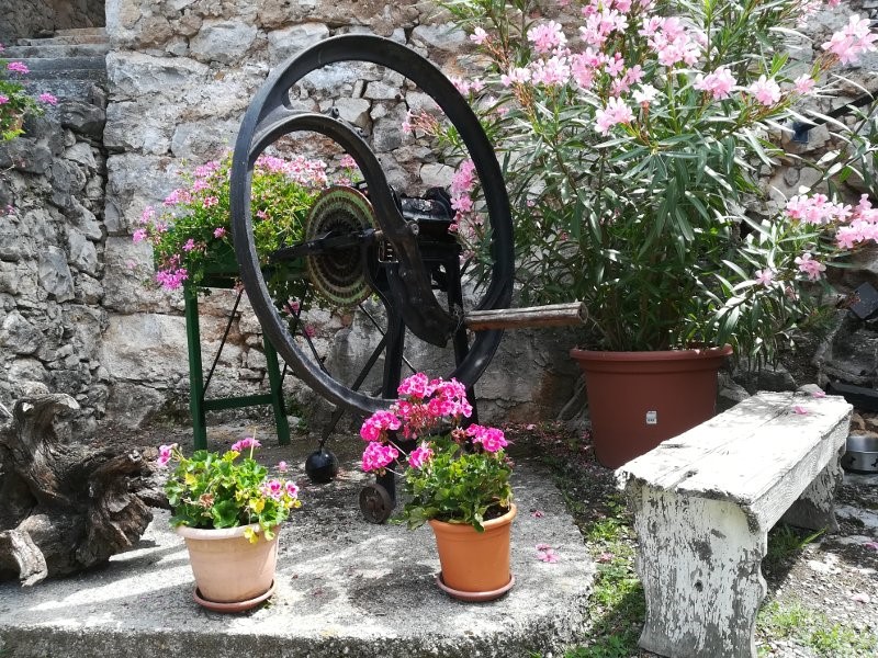 Dettagli nel cortile dell'osmiza Rebula a Slivia Trieste