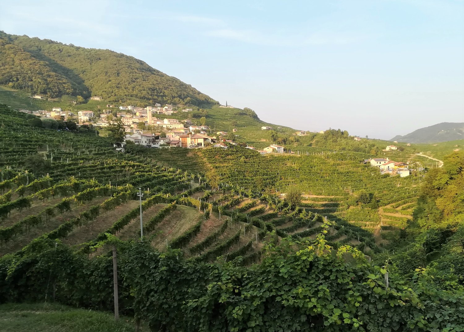 Visita alle cantine di Valdobbiadene