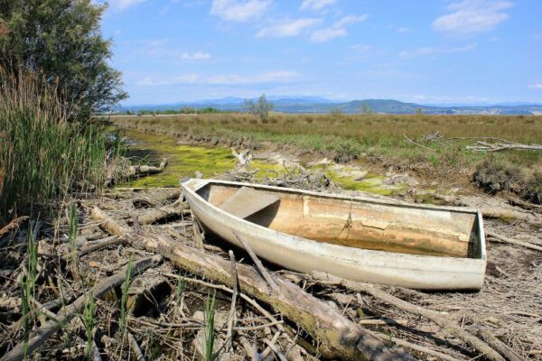 Paesaggio della Riserva Naturale Isola della Cona