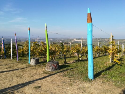 La vigna dei Pastelli a Coazzolo